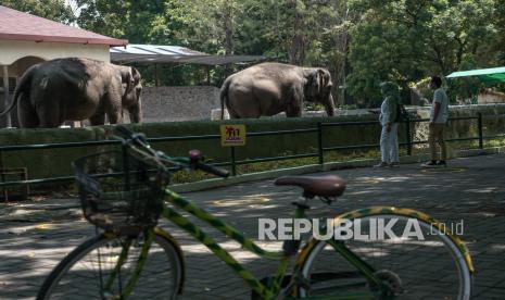 Wisatawan mengunjungi kawasan Gembira Loka Zoo di Umbulharjo, Yogyakarta, Kamis (16/9/2021). Gembira Loka Zoo menjadi destinasi untuk ujicoba pembukaan tempat wisata di Yogyakarta selama Pemberlakuan Pembatasan Kegiatan Masyarakat (PPKM) Level 3 dengan syarat pengunjung diatas 12 tahun serta telah mendapatkan vaksinasi COVID-19.