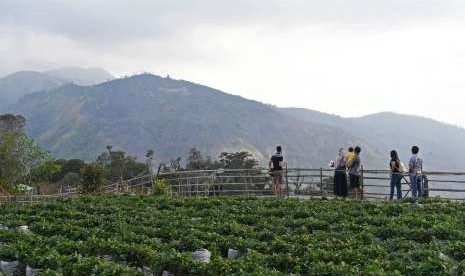 Wisatawan menikmati suasana alam pegunungan di lereng Gunung Lawu, Magetan, Jawa Timur, Selasa (11/9). 