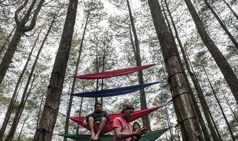 Wisatawan menikmati suasana dan pemandangan hutan pinus pal 16, Cikole, Lembang, Kabupaten Bandung Barat, Jawa Barat, Ahad (5/11). 