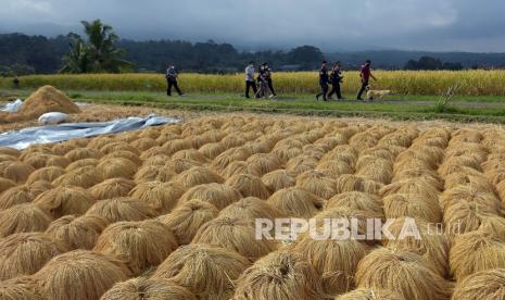 Wisatawan menikmati suasana persawahan saat mengunjungi Desa Jatiluwih, Tabanan, Bali, (ilustrasi)