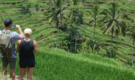 Wisatawan menyaksikan pemandangan terasering sawah berundak khas Bali di persawahan Desa Tegalalang, Gianyar, Bali.