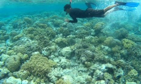 Wisatawan menyelam di titik selam Mari Mabuk, Pulau Tomia, Waha, Tomia, Wakatobi, Sulawesi Tenggara. Anak-anak di Wakatobi telah diajarkan sejak dini untuk menjaga lingkungan.