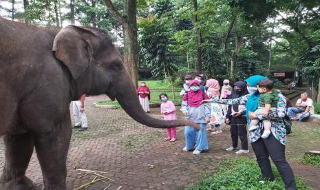 Wisatawan yang berasal dari Kota Bandung dan berbagai daerah lainnya memadati destinasi wisata Kebun Binatang Bandung selama liburan panjang sejak Rabu (28/10) kemarin hingga saat ini. Meski ramai, jumlah kunjungan wisatawan masih rendah dibandingkan kondisi normal sebelum pandemi covid-19 terjadi.