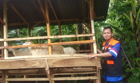 Yayasan Baitul Maal (YBM) PLN UP 3 Malang bersinergi dengan Rumah Zakat dalam program Breeding Kambing yang berlokasi di Desa Berdaya Sukodadi RT5 RW2, Kecmatan Wagir, Kabupaten Malang.