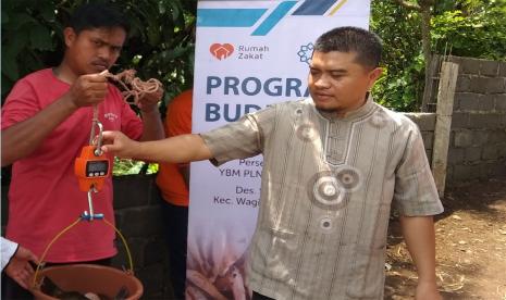 YBM PLN- Rumah Zakat gelar program budidaya ikan nila.