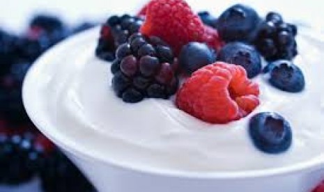 Yogurt