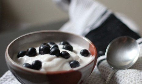 Yogurt