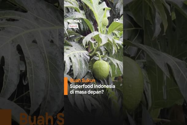 Bisakah Sukun Jadi Alternatif Pengganti Nasi