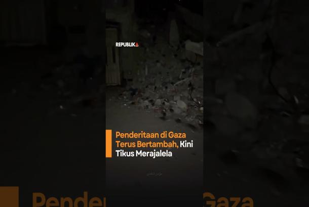 Penderitaan di Gaza Terus Bertambah Kini Tikus Merajalela