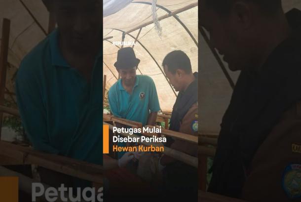 Jelang Idul Adha Petugas Kesehatan Mulai Disebar Periksa Hewan Kurban