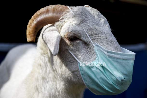 Adab dalam Berkurban