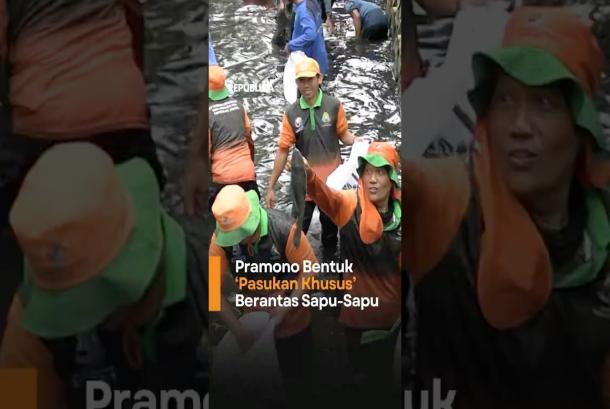 Berantas SapuSapu Pramono Anung Bentuk Pasukan Khusus