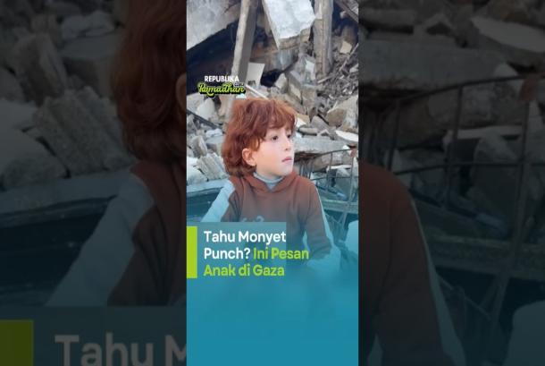 Tahu Monyet PunchIni Pesan Anak di Gaza