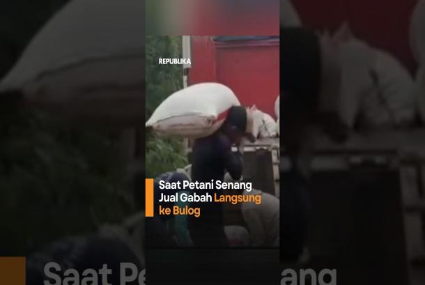 Saat Petani Senang Jual Gabah Langsung ke Bulog