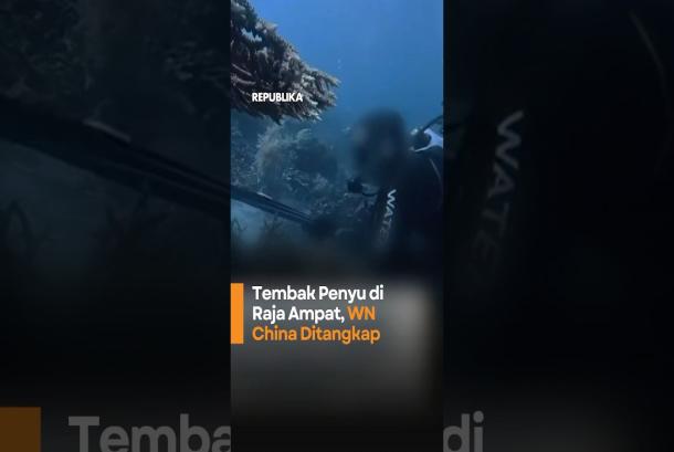 Tembak Penyu di Raja Ampat WN China Ditangkap