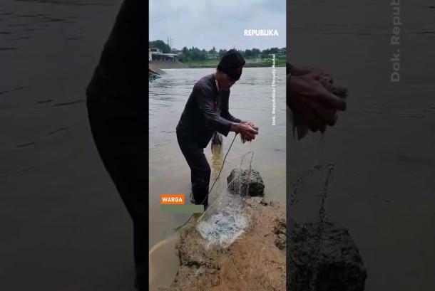 Ikan Terdampar di Sungai Cisadane Warga Masih Tebar Jala