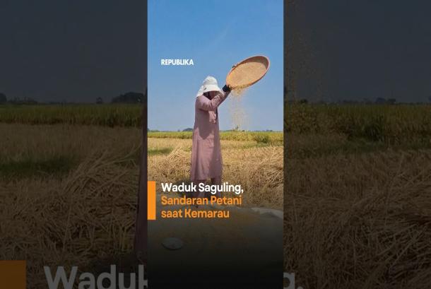 Waduk Saguling Sandaran Petani saat Kemarau