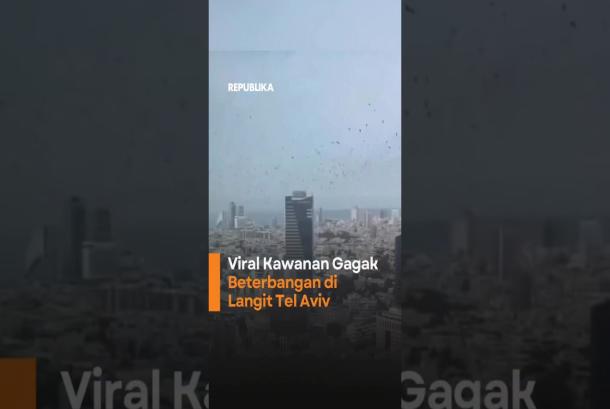 Viral Kawanan Gagak Beterbangan di Langit Tel Aviv