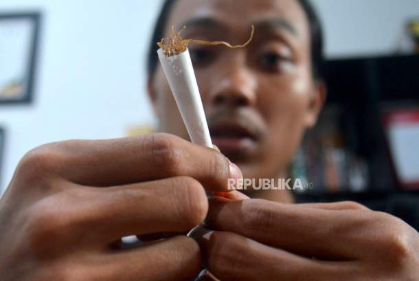 Mencis Rokok Harga Rokok Membubung Tinggi, Tingwe Jadi Solusi