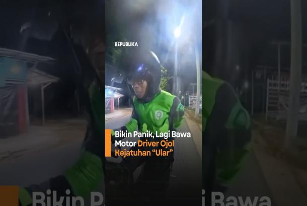 Bikin Panik Lagi Bawa Motor Driver Ojol Kejatuhan Ular