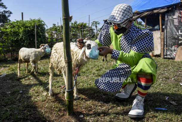 Bolehkah Daging Kurban Nazar Dimakan Pekurbannya?