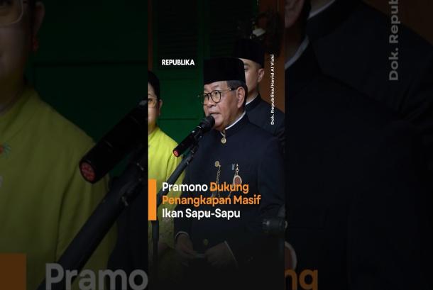 Ancam Ekosistem Pramono Dukung Penangkapan Masif Ikan SapuSapu