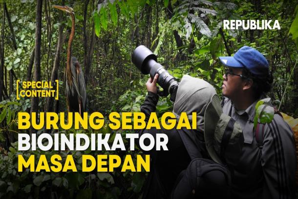 Pulau Kecil dengan Peran Besar bagi Burung Migran dan Burung Air  Special Content