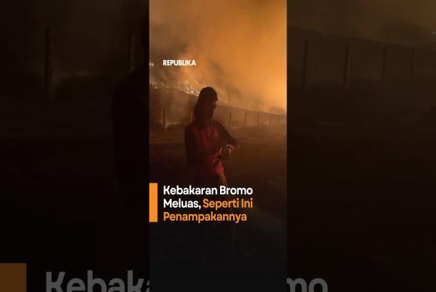 Kebakaran Bromo Meluas Seperti ini Penampakannya