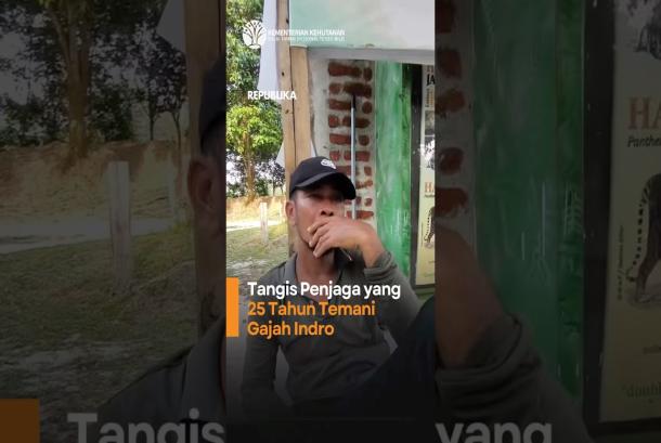 Tangis Penjaga yang 25 Tahun Temani Gajah Indro