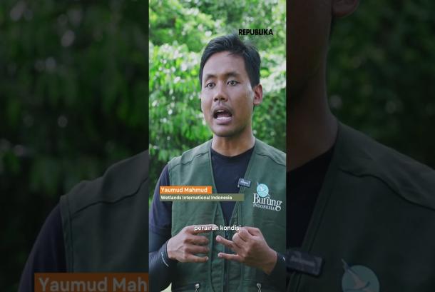 Pulau Kecil dengan Peran Besar bagi Burung Migran dan Burung Air  Special Content