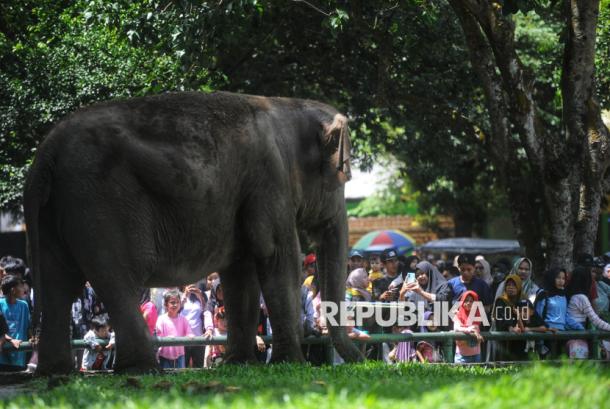 Pengelola Ragunan Imbau Pengunjung Peduli Satwa, Jangan Merokok dan Beri Makan Sembarangan