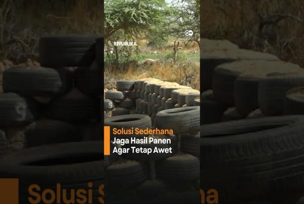 Solusi Sederhana dan Ramah Lingkungan Agar Jaga Panen Lebih Awet