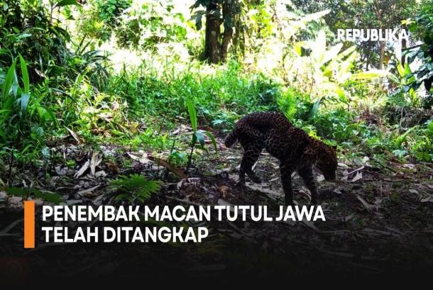 Polda Jabar Menangkap Penembak Macan Tutul Jawa