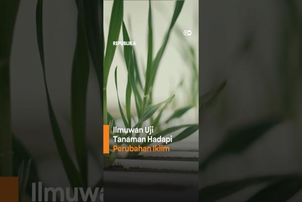 Cara Ilmuwan Uji Tanaman Hadapi Perubahan Iklim