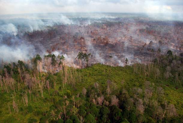 Kemendagri Panggil Bupati Meranti Pekan Depan