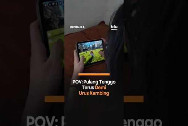 POV Pulang Tenggo Terus Demi Urus Kambing