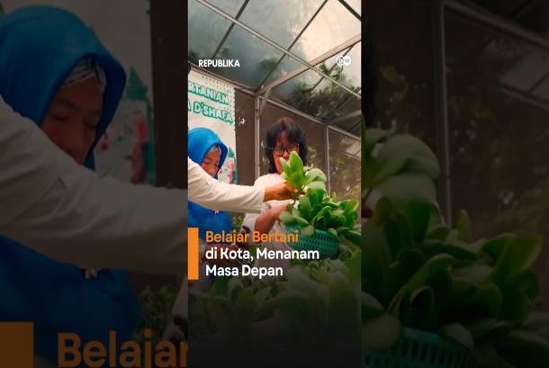Berkebun di Tengah Jakarta Bekal Anakanak Hadapi Masa Depan