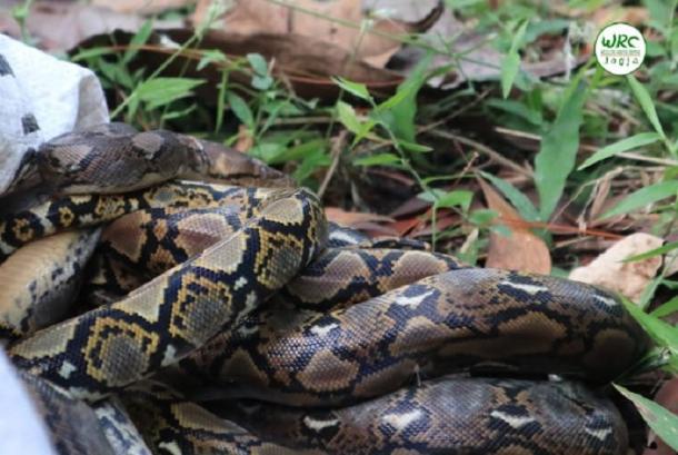 Gozal yalangoch ayollar va erkaklar onlayn