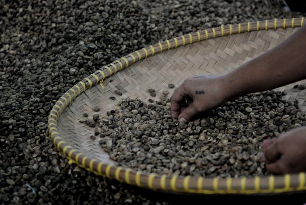 Kopi (ilustrasi). BRIN dan industri kembangkan teknologi pengolahan kopi.