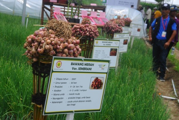 Petani Milenial Angkat Potensi Bawang Merah Boyolali | Republika Online