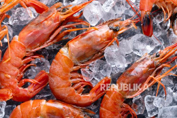 Udang dan Rempah Tercemar Cesium-137, BPOM 'Gercep' Cegah Bahaya di Makanan