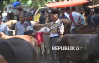 Tradisi Marosok, Cara Unik Pedagang dan Pembeli Ternak Bertransaksi di Padang Pariaman