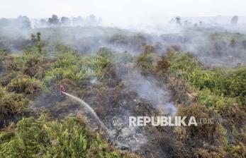 Pemadaman Karhutla di Jambi Terkendala Sumber Air