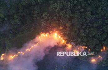 Karhutla di Enam Provinsi Prioritas Hanguskan 48.889 Hektare Lahan