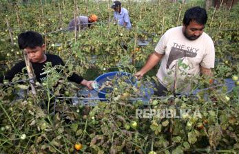 Sedekah Hasil Panen Pertanian untuk Keluarga Kurang Mampu