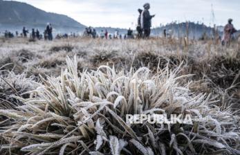 Embun Upas Selimuti Dieng, Wisatawan Nikmati Sensasi Suhu Minus Tiga Derajat