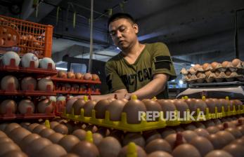 Harga Telur Ayam di Lampung Capai Rp 30.000 Per Kg