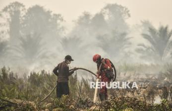 Tujuh Titik Api Terdeteksi di Sekitar Tahura Orang Kayo Hitam dan TN Berbak Sembilang