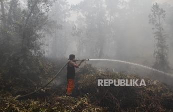 In Picture: Upaya Pemadaman Karhutla di Kalteng Terus Dilakukan