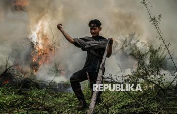 Karhutla Ancam Palangka Raya, Petugas Berjibaku Jinakkan Api di Lahan Gambut